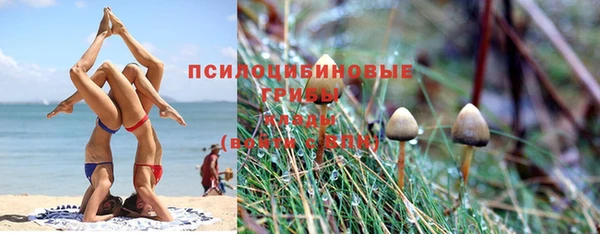 ECSTASY Бронницы