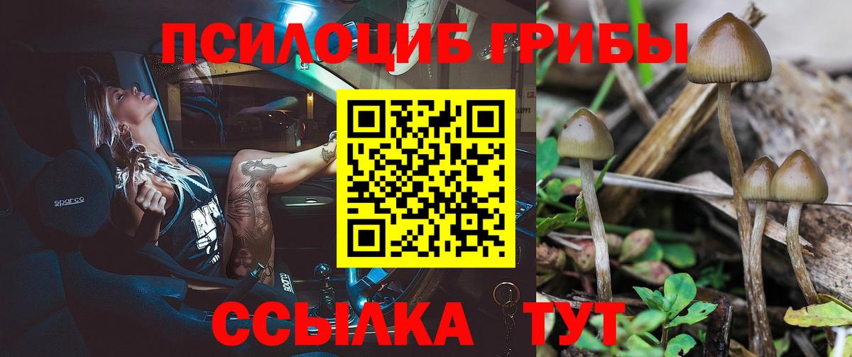 APVP  Cocaine  Купить  Вход с VPN  Волхов  Гашиш  Бошки Шишки  Меф 